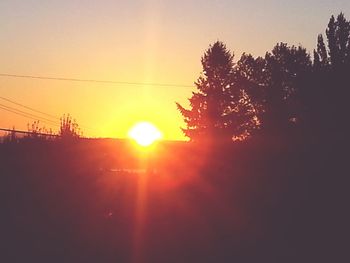 Silhouette of trees at sunset