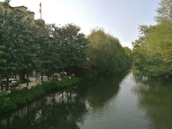 View of trees by river