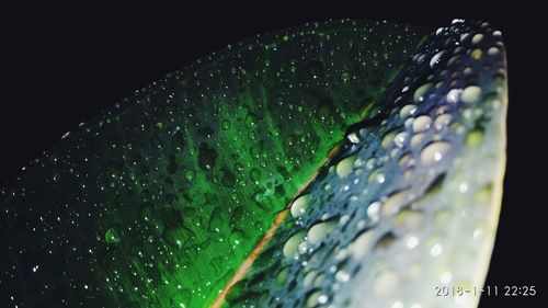 Close-up of water drops on leaf against black background