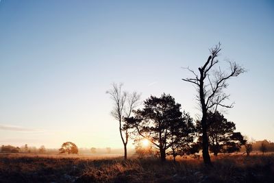 Bare trees on landscape against clear sky