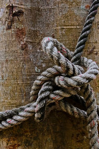 Close-up of rope tied up