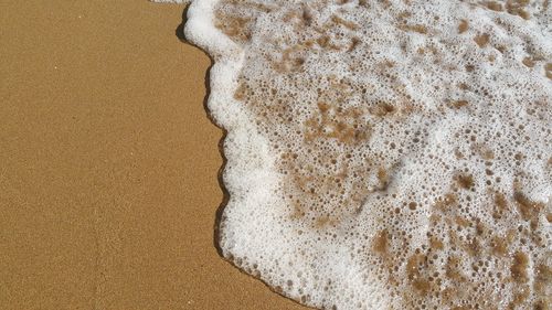 High angle view of waves reaching at beach