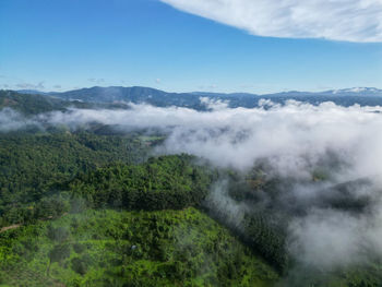 environment