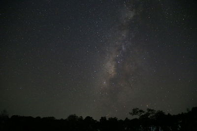 Low angle view of silhouette trees against sky at night