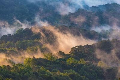 Scenic view of waterfall in forest against sky