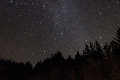 Low angle view of silhouette trees against star field at night