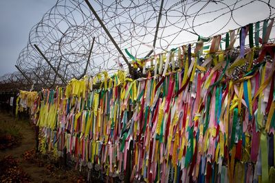 Multi colored umbrellas hanging on bare tree against sky