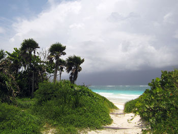 Scenic view of sea against sky