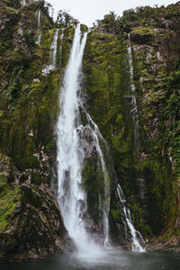 Scenic view of waterfall in forest
