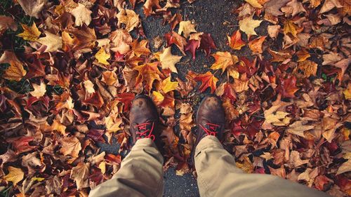 Low section of man standing on maple leaves