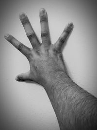 Close-up of human hand