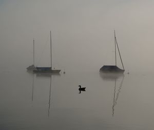 Silhouette sailboats moored on lake against sky