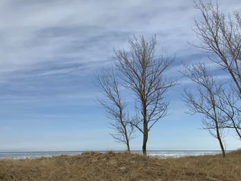 Bare tree by sea against sky