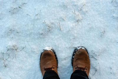 Low section of person standing on snow