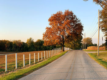 Road amidst trees against sky during autumn