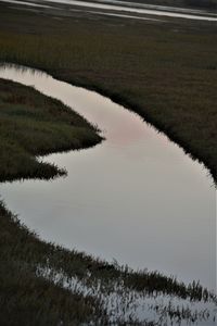 Scenic view of agricultural field