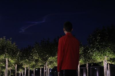 Rear view of man standing against sky at night