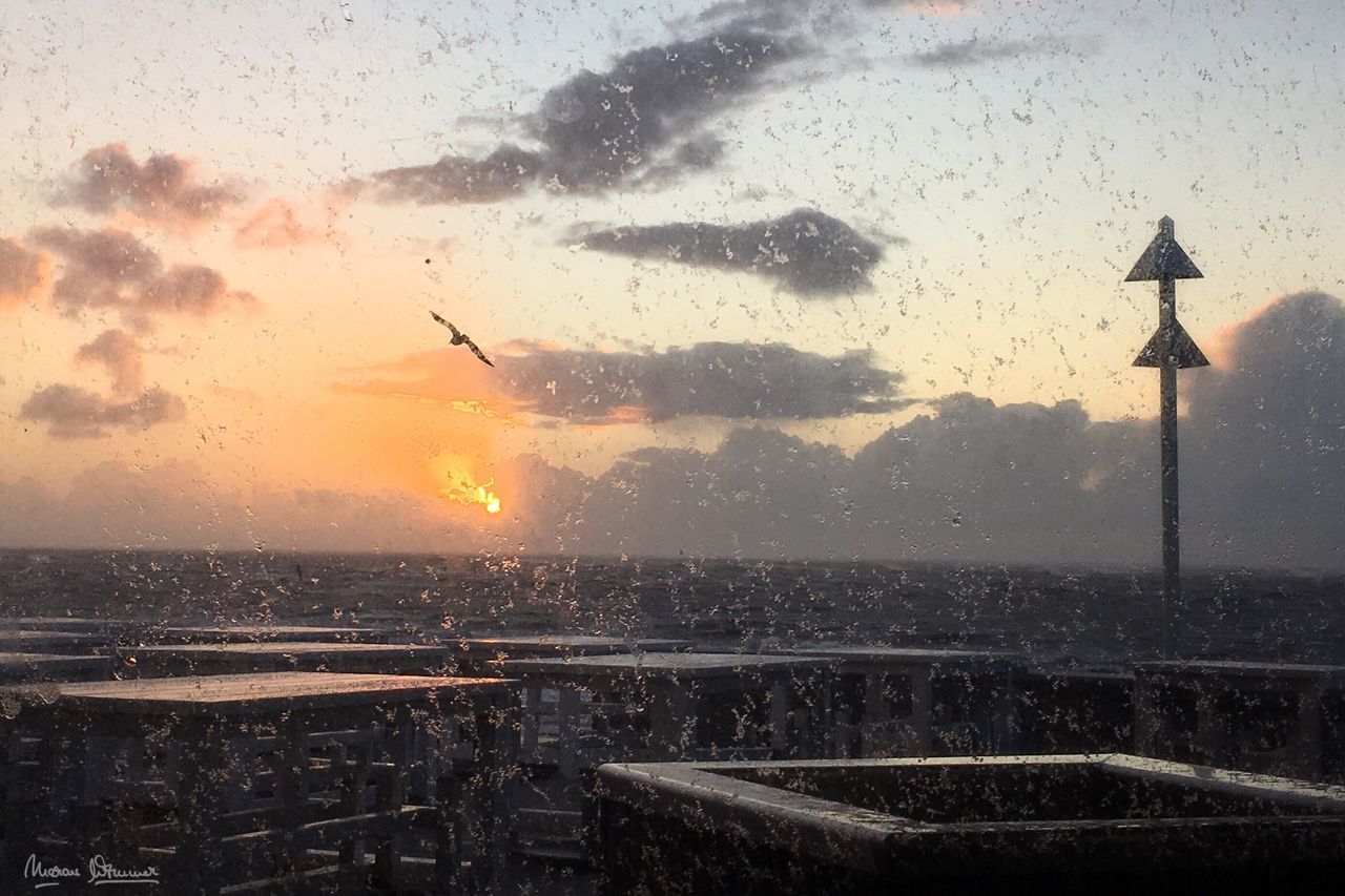 SILHOUETTE BIRDS FLYING OVER CITY DURING WINTER