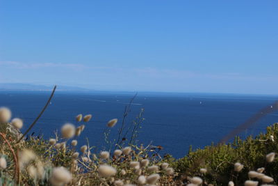 Scenic view of sea against blue sky