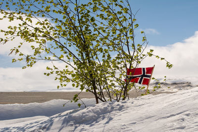 Scenic view of snow covered land against sky