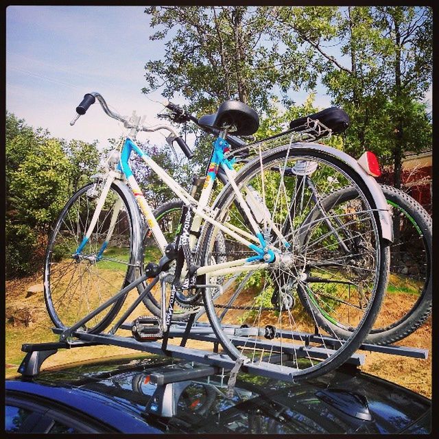 bicycle, transportation, mode of transport, land vehicle, stationary, parked, parking, tree, blue, wheel, day, auto post production filter, sunlight, outdoors, transfer print, no people, built structure, cycle, abandoned, metal