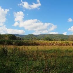 Scenic view of field against sky