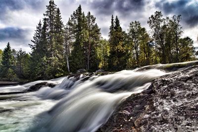 View of waterfall in forest