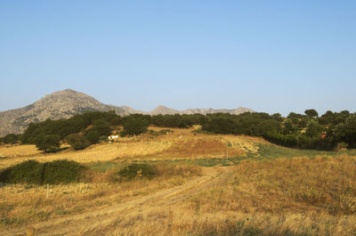 Scenic view of field and mountains against clear sky