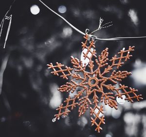 Close-up of dry leaves on tree