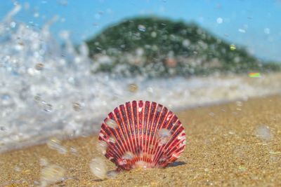 beach