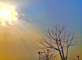 Low angle view of bare trees against sky