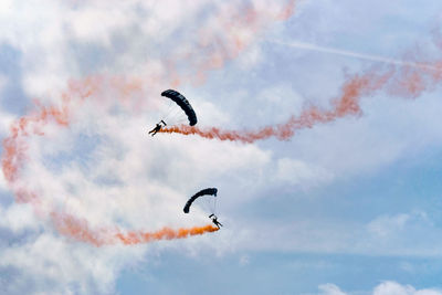 Low angle view of bird flying against sky