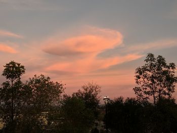 Silhouette trees against sky during sunset