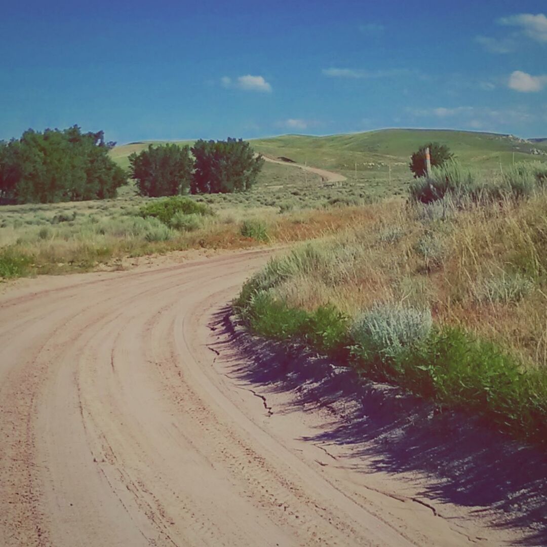 landscape, the way forward, sky, field, dirt road, tranquil scene, tranquility, rural scene, agriculture, tree, nature, road, diminishing perspective, growth, transportation, vanishing point, scenics, farm, grass, country road