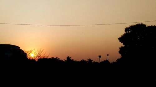 Silhouette of trees at sunset