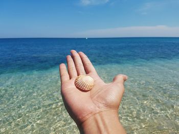 Cropped hand holding seashell on beach against sky