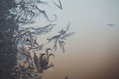 Close-up of ice crystals