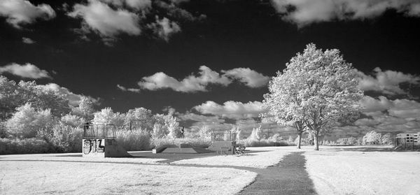 Trees by footpath against sky on sunny day