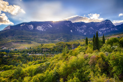 Scenic view of tree mountains against sky
