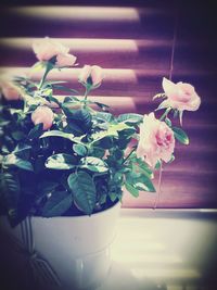 Close-up of flowers in vase on table