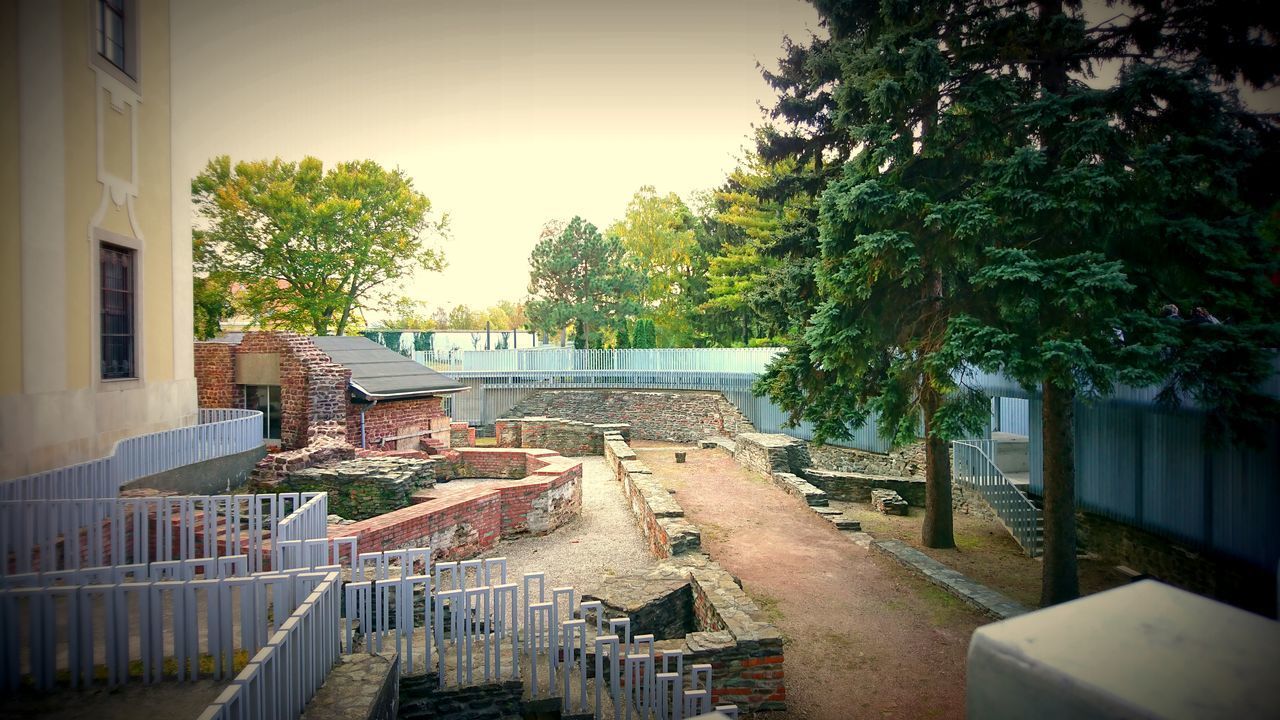 SWIMMING POOL AGAINST TREES