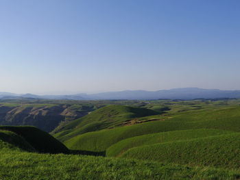 Scenic view of field against clear sky