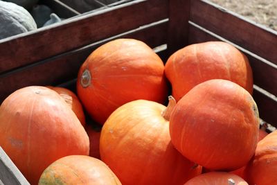 Close-up of pumpkins for sale at market stall