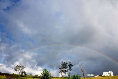 Low angle view of rainbow in sky