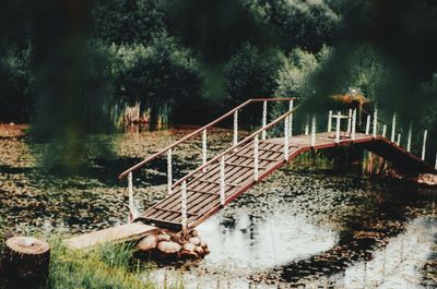 Footbridge over lake in forest