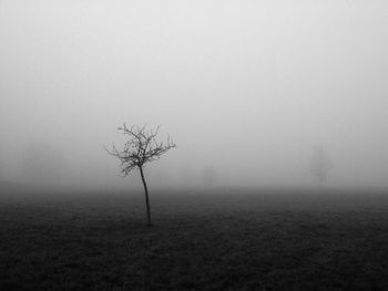Scenic view of field in foggy weather