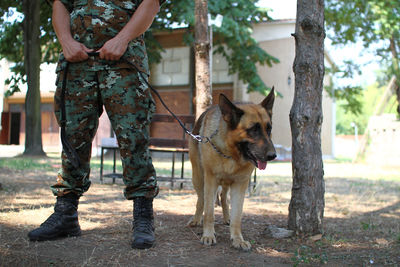 Low section of woman standing by dog against trees