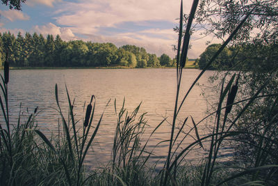 Scenic view of lake against sky