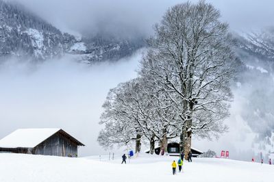 Bare trees and buildings against sky during winter