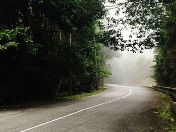 Empty road along trees